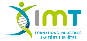 logo-imt